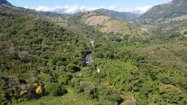 Avanza delimitación del páramo de Santurbán: 10 municipios alcanzan acuerdos de concertación