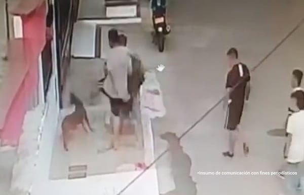 La Modelo recibe como inquilinos dos bárbaros que se la pasaban desviviendo perritos