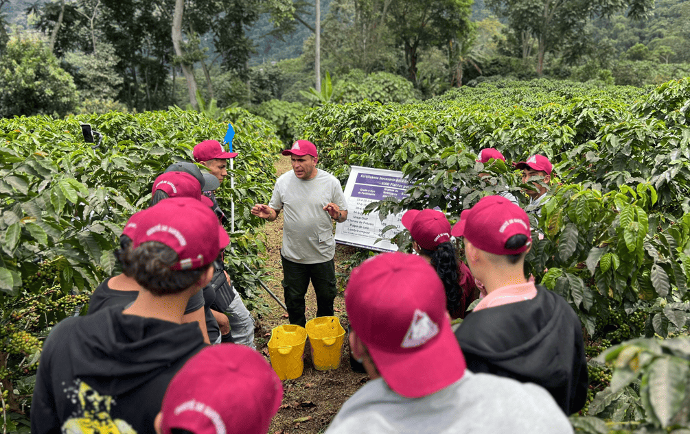 Escuela del Café siembra futuro para los jóvenes del departamento