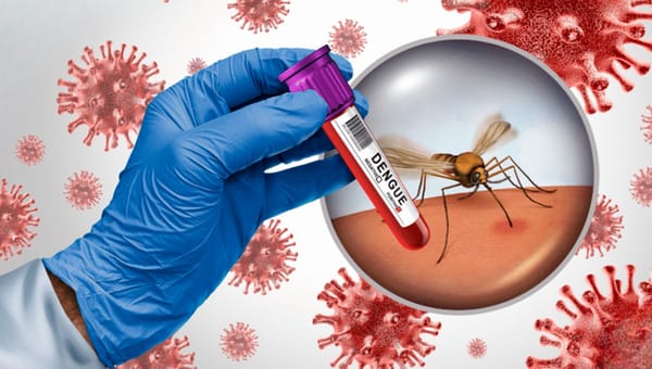 Menores de 15 años los más  afectados por dengue en Bucaramanga