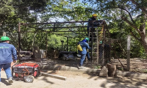 Eliminadas construcciones ilegales que amenazaban cuencas hídricas