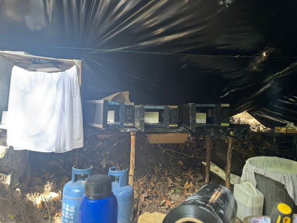 Destruido laboratorio de cocaína en la vereda La Honda, Norte de Santander