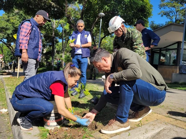 Transformación del paisaje en varios municipios de Santander con la siembra de plántulas