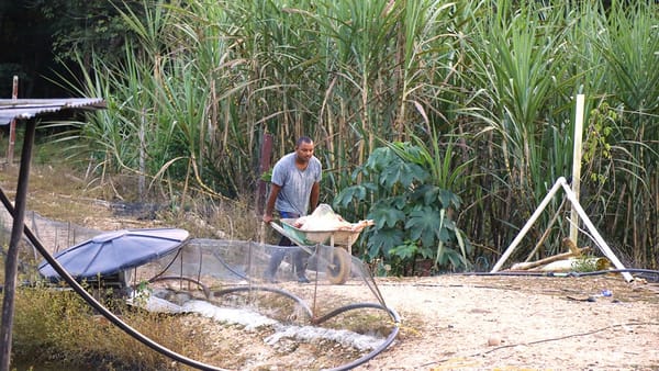 Intimidación y amenazas empañan histórica entrega de tierras en Santander