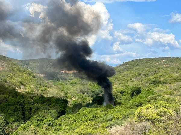 Destruyen 140 kilos de coca en Norte de Santander pertenecientes al ELN