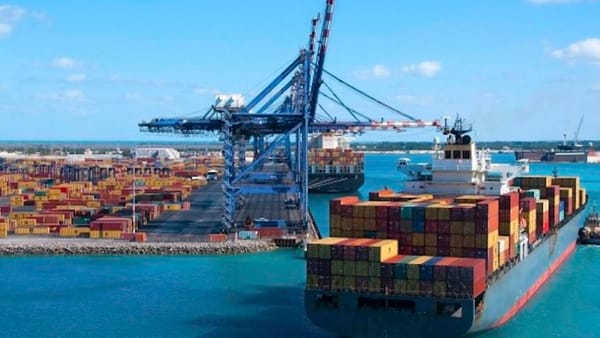 Exportaciones agrícolas aumentaron 49,3% en agosto
