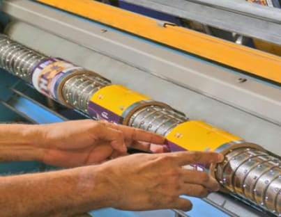 Por un consumo consciente y empaques reciclados: dos fórmulas para liderar en sostenibilidad