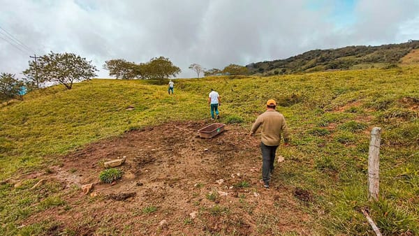 Predios de los hermanos castaño pasaron a manos de asociaciones campesinas