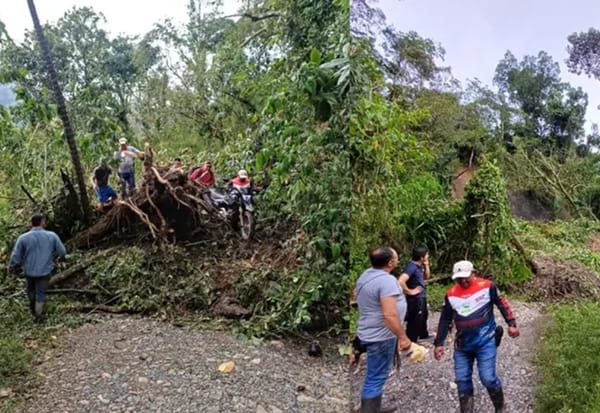 Bloqueada vía entre Guadalupe y Contratación por enorme derrumbe