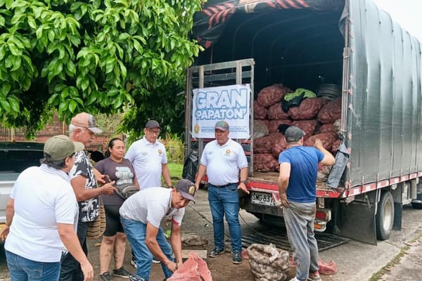 Pequeños agricultores de Santander recibieron respaldo en la 'papatón' de  Barrancabermeja