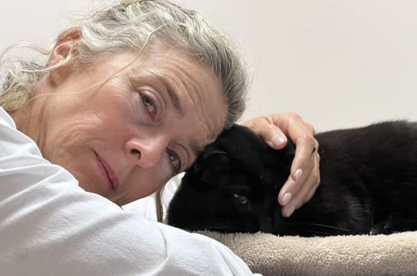 Margarita Rosa de Francisco conmovió a Colombia con la despedida a su gato Cholo