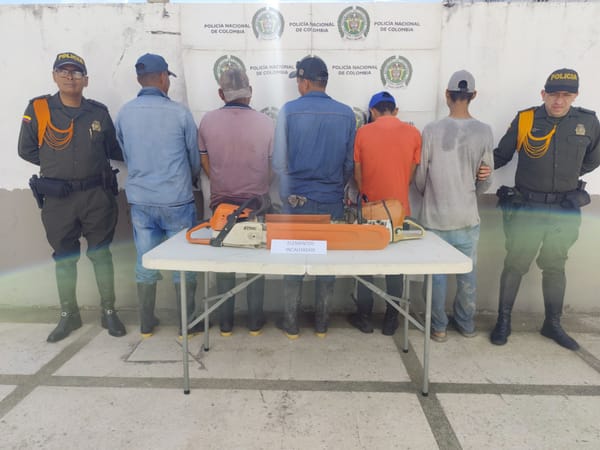 Policía de Santander frustra tala ilegal de árboles en Sabana de Torres y captura a cinco personas