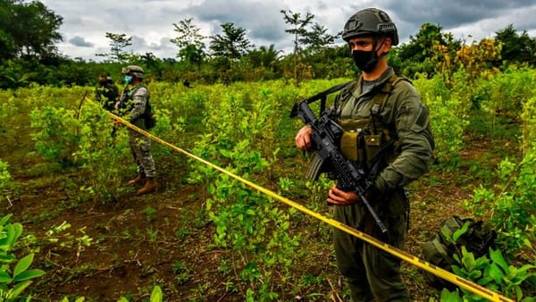 Rutas ocultas de la  guerra en Colombia  Como operan 12 grupos armados