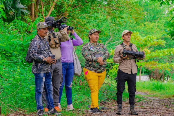 Aviturismo comunitario volando alto en Topocoro