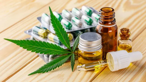 Gobierno autoriza uso médico y científico de la flor de cannabis ¿Por qué se demoraron tanto tiempo?