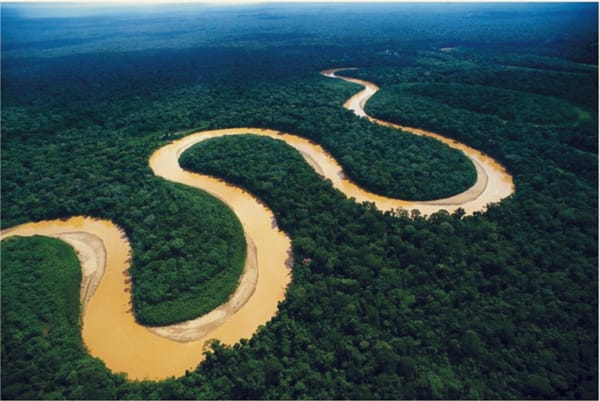 Colombia, primer país en declarar la Amazonía como zona libre de minería e hidrocarburos