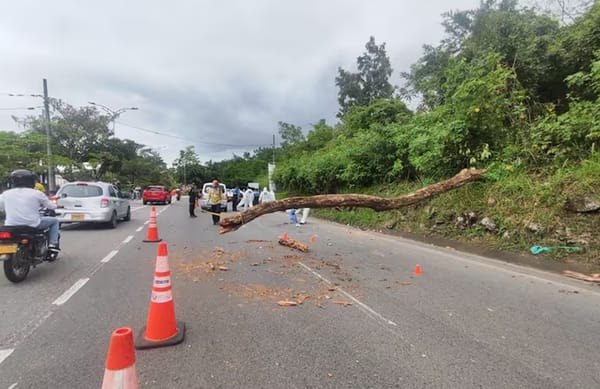 Mueren dos personas al recibir el impacto de árbol en Piedecuesta