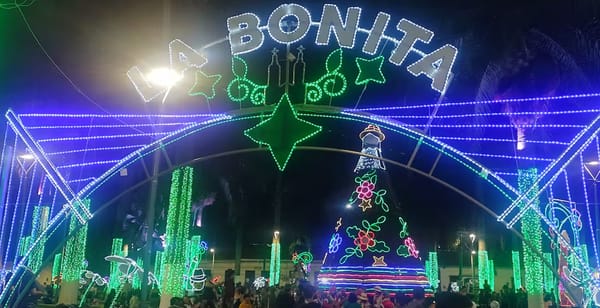 Concejal Cavanzo pide investigación sobre contrato del alumbrado navideño 2025 en Bucaramanga