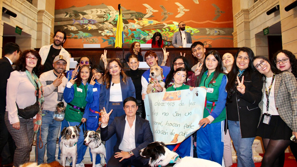 Aprobada Ley que impone educación ambiental con enfoque de bienestar animal para colegios del país