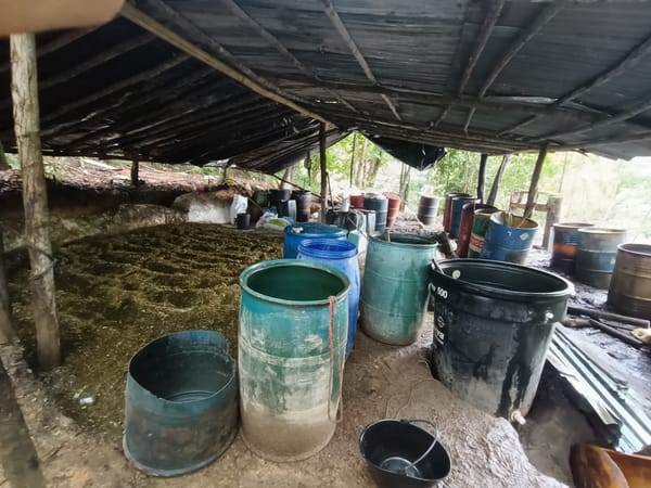 Golpe multimillonario al ELN: Desmantelan megalaboratorio de cocaína en Norte de Santander