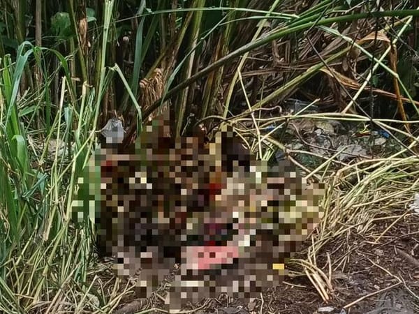 Macabro hallazgo en Floridablanca: cuerpo con múltiples puñaladas aparece en zona boscosa