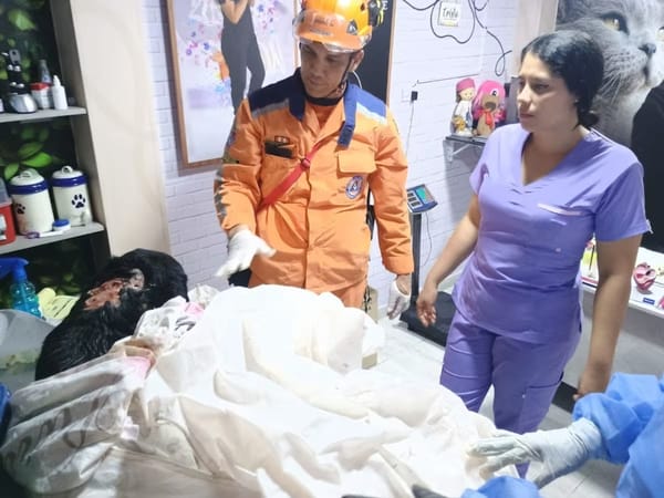 Dramático rescate de un perro atrapado cinco horas en una cueva de Piedecuesta