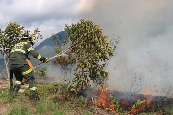 Santander registra dos incendios en zonas urbana y rural