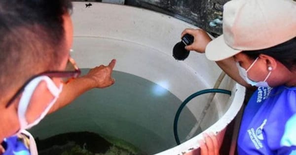 Aumento sostenido de casos de dengue en niños y adolescentes por lluvias en Santander