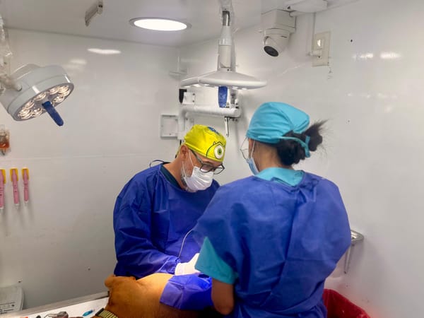 Esterilización masiva y gratuita de mascotas en Floridablanca