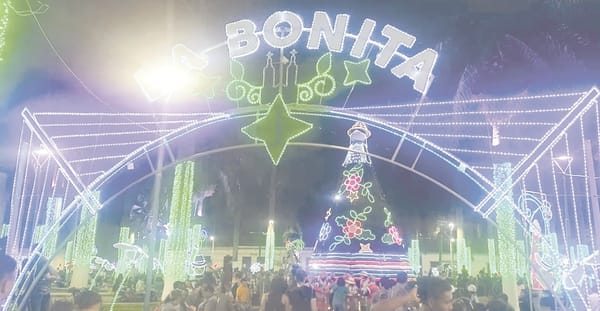 Exalcalde (e) de Bucaramanga niega nexos con enmarañado contrato de alumbrado Navideño