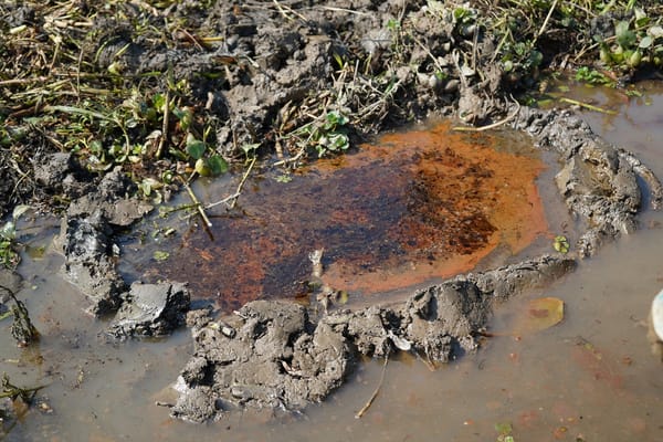 Alerta ambiental por contaminación con hidrocarburos en la ciénaga El Llanito de Barrancabermeja