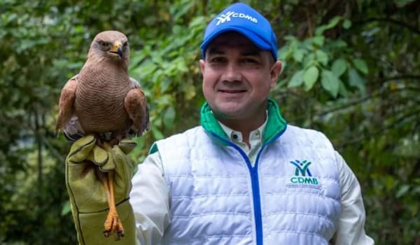 Aumentó recuperación y regreso de fauna silvestre a su hábitat en Santander por parte de la CAV-CDMB