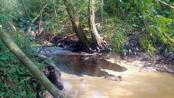 Denuncian posible contaminación con hidrocarburos en El Llanito