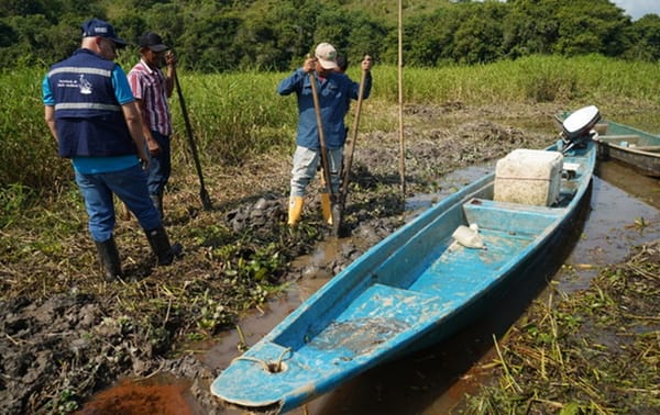 Mancha de petróleo crudo  vuelve a poner en jaque a la Ciénaga El Llanito, en Barrancabermeja