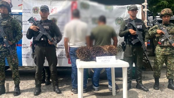 Dos hombres fueron capturados por hurto de fruto de palma en zona rural de Sabana de Torres