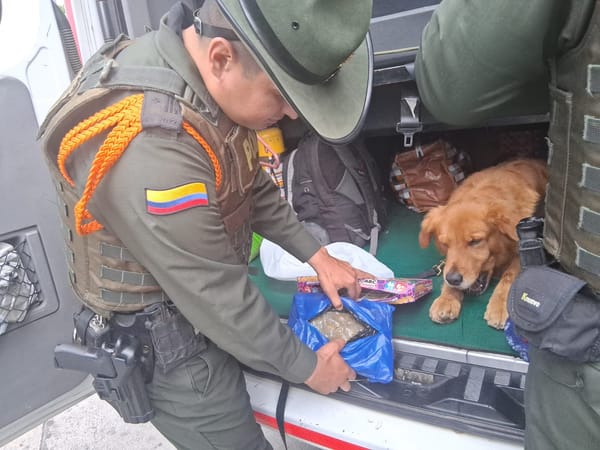 Capturado en San Gil con más de 300 gramos de marihuana