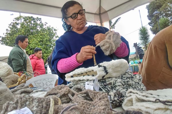 Campesinas de Coromoro hilan arte y conservación.
