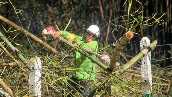 Transversal Oriental recuperó condiciones de seguridad en Floridablanca