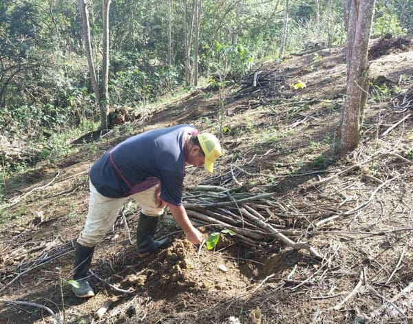 En Barichara hacen seguimiento a cultivos de cacao