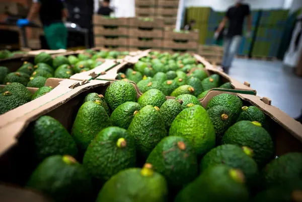 Tecnología y nuevos modelos financieros buscan democratizar el agro