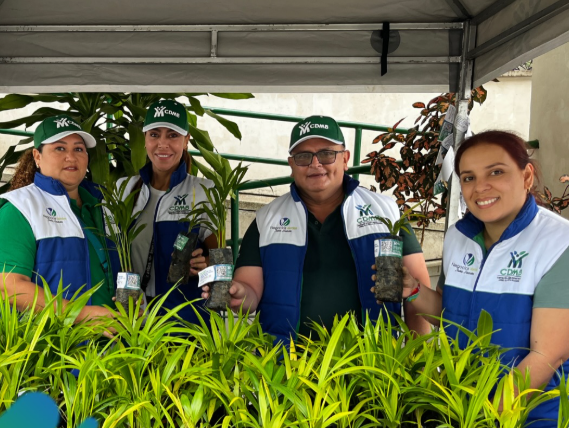 CDMB entrega 35.000 plántulas para un domingo de ramos sostenibles