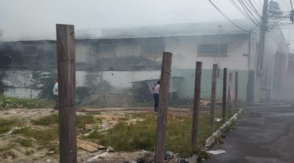 ’Infierno’ desatado en un depósito de madera