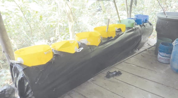Destruida gigantesca ‘cocina’ de  coca perteneciente al ELN