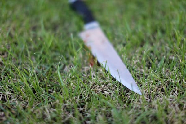 De la calle al hospital: riña dejó herido y desató caos en Suratá