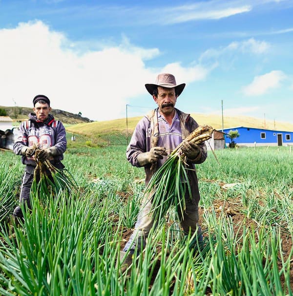 Jornada de microcréditos para productores en el  municipio de Berlín por parte del IDESAN
