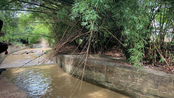 Alerta preventiva por época de lluvias que iría hasta junio