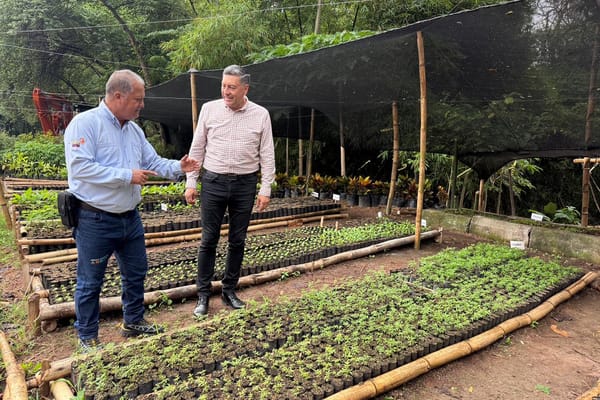Creados viveros de especies nativas para reforestar a Santander