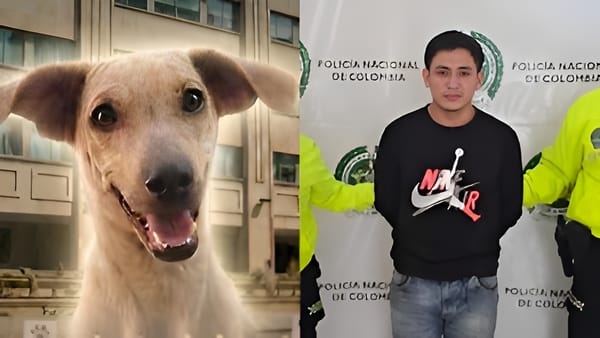 Asesino de 'Kira' irá a prisión por decisión de jueza
