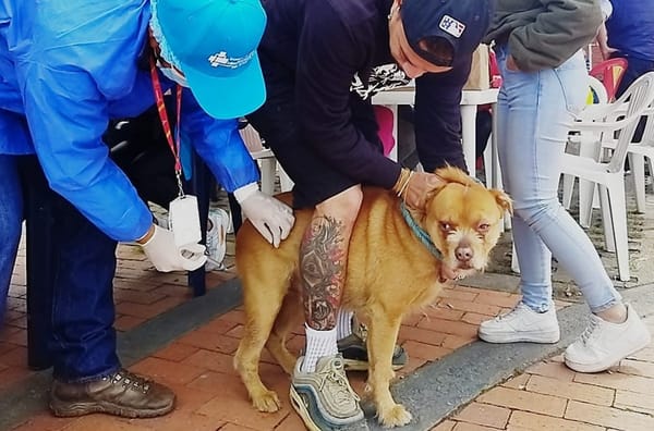 Vacune sus mascotas gratis este martes en Sabana de  Torres, Santander