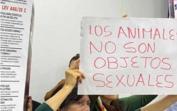 Cárcel para violadores de animales y mascotas quedó a un paso de ser ley en Colombia